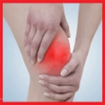 knee pain exercises android application logo